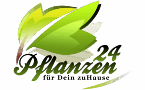 Pflanzen24.shop – frische, wunderschöne Pflanzen – blitzschnell geliefert