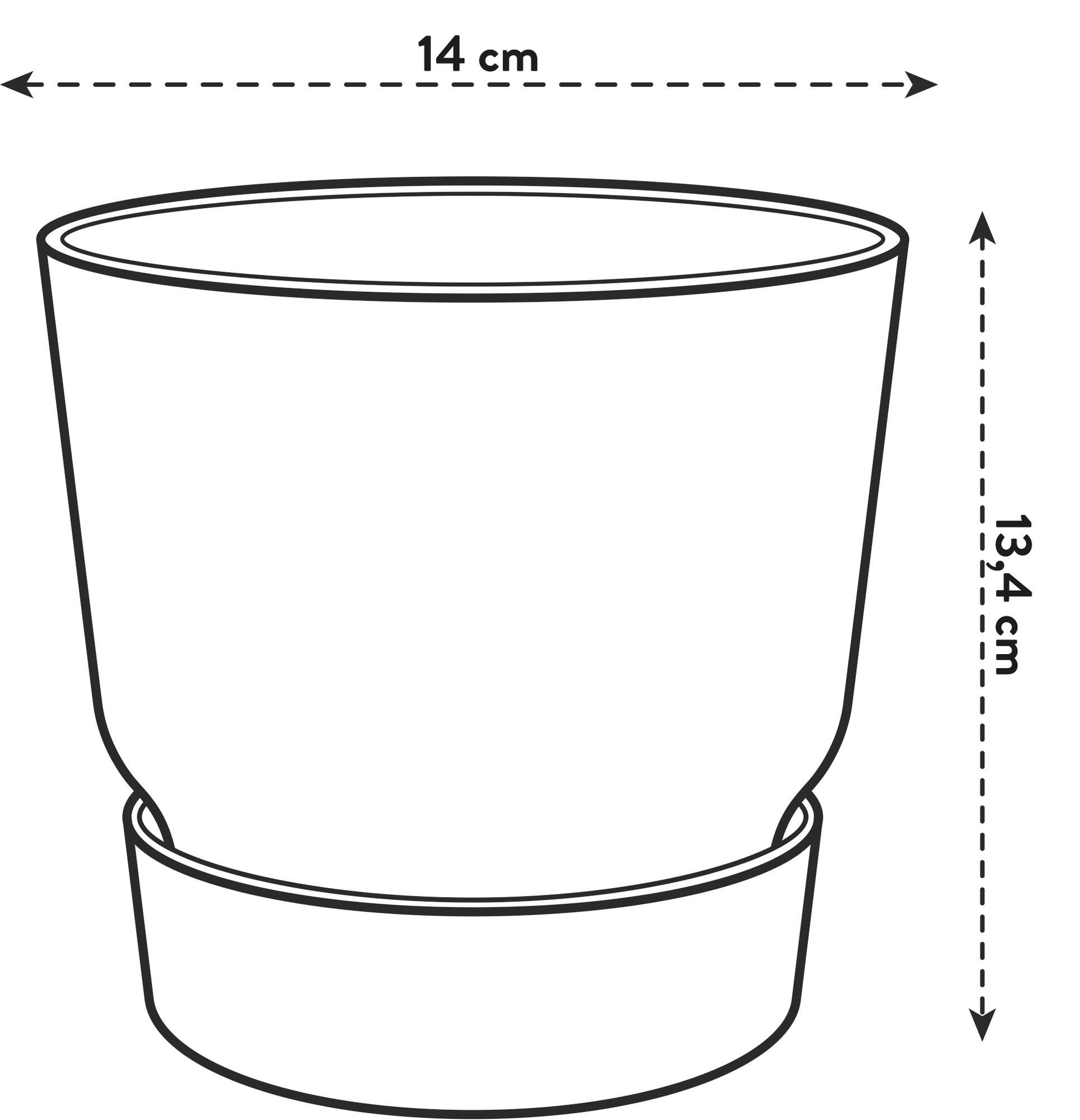 thumbnail_6000-865